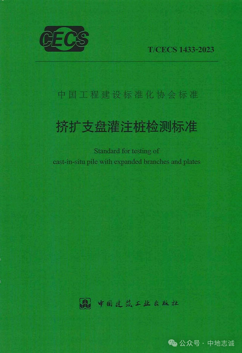 擠擴(kuò)支盤樁檢測規(guī)范封面_副本.jpg